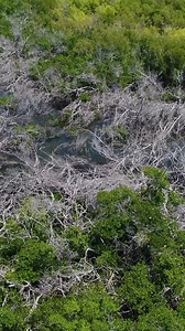 24K views · 1.5K reactions | Let's Explore  Full Video:...