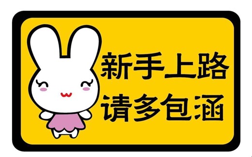 albion阿尔比恩老司机【新人必看】+万能经验的获得和使用 如何洗点？如果用学习点最划算？+