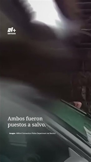 Two People Rescued From Flood