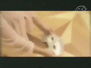 V-Tech-Éjfél után