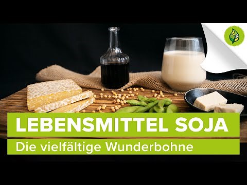 Lebensmittel Soja – Die vielfältige Wunderbohne