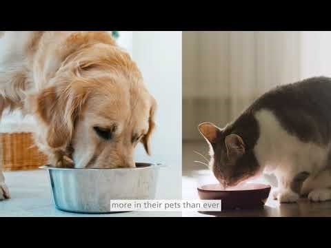 Comprehensive Pet Food Testing