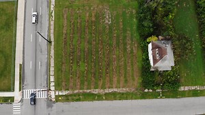 I wanted to make my community safer and more neighborly. The advice I got surprised me.