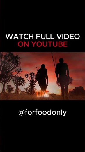 The Rise of Bread in 2026 (A Delicious History, How Bread Shaped the World)