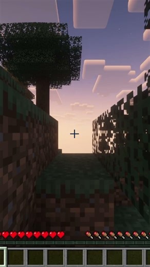 speedrunning a random minecraft block part 7