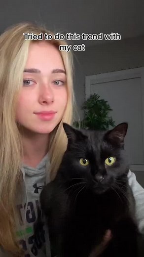 NordicBeast on TikTok