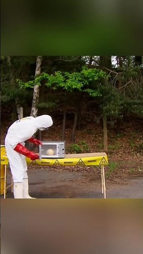 Why Do Eggs Blast 🥚🤔