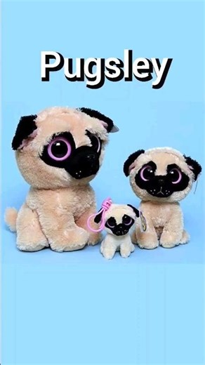 beanie BOOS in many different SIZES 🤩 | #shorts #beanieboos #size #fypシ