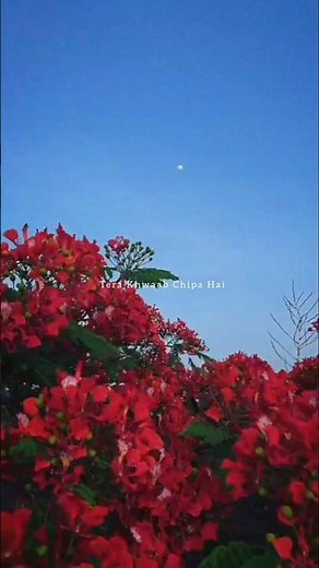 suna Hai tere dil pe mera kahi na kahi naam likha h❤️love song | whatspap status#trendingsong#short