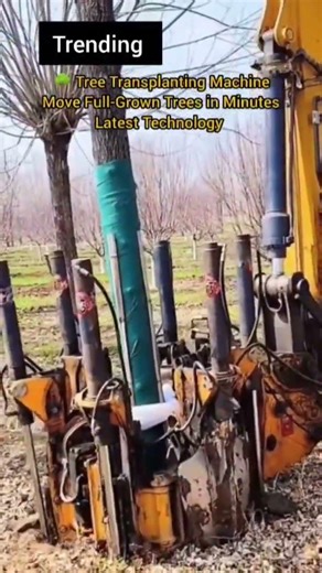🌳 Tree Transplanting Machine | Move Full-Grown Trees in Minutes #likeandsubscribe #viralvideo