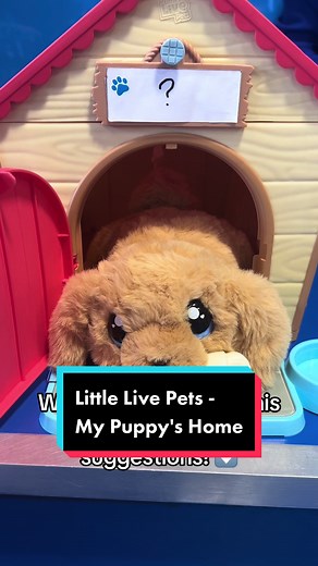 You’ve got a friend in Little Live Pets - My Puppy's Home! 🐶 🐾 🏠 Let us know in the comments what we should name this adorable pup! 🥰 #smythstoys #puppy #puppylove #puppytiktok #dogsoftiktok #youvegotafriendinme #littlelivepets #fyp #brandtok