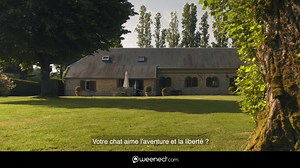 "J’ai perdu une chatte avant d’équiper ma nouvelle de ce GPS et j’en suis très satisfaite ! Plus d’angoisse ! Ma fifille rentre à la maison ou je vais la chercher ! Je recommande !" - Naïma R. (avis Trustpilot) | Weenect