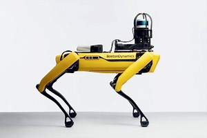 4.2K views · 93 reactions | You can now order a Spot robot from the Boston Dynamics online store. Spot costs US $74,500, shipping included. https://spectrum.ieee.org/automaton/robotics/industrial-robots/boston-dynamics-spot-robot-dog-now-available | IEEE Spectrum | Facebook