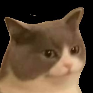 一花枝 - Twitch