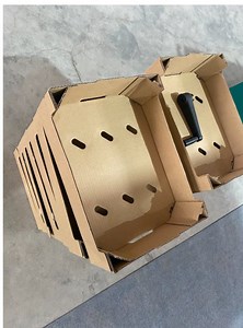 [Hot Item] Automatic Fruit Box Making Machine