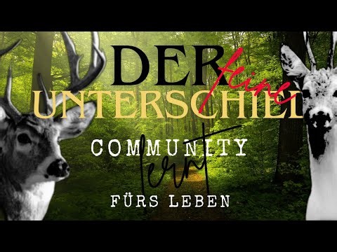 DEER vs. ROOSTER | You're never too old for elementary school.