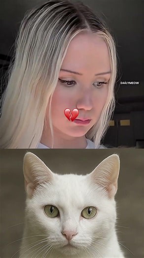 Don’t Laugh Challenge 502😂#cat #funny #viral #reaction