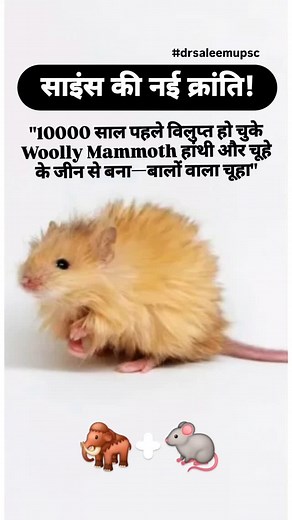साइंस की नई क्रांति! . . . 🔹 WoollyMammoth 🔹 HairyMouse 🔹 GeneticEngineering 🔹 CRISPRScience 🔹 MammothDNA 🔹 BiotechInnovation 🔹 ScienceBreakthrough 🔹 deextinction . . . #drsaleemupsc #trending | Mohd Saleem