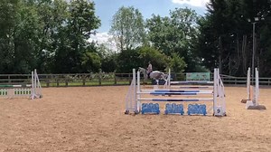 11K views · 555 reactions | Right! So here is some context to the rearing pictures. Volume up  because I’ve added some commentary. Let me know what you think! | Natasha Swales - She Rides | Facebook