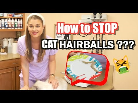Hairball Control and Treatment for Cats! Plus what Supplements to give!? MUST WATCH!!!