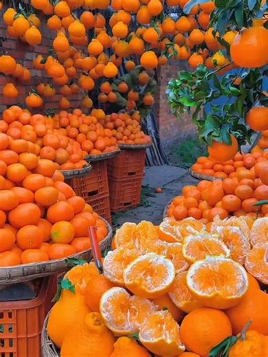 Delicious Fresh Fruits: A Nature's Delight