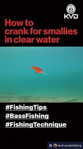 #bassfishing #largemouthbass #smallmouthbass #fishinglife #bassmaster #bassangler #fishingday #basspro #bassnation #catchandrelease #fishingislife #bassfishingtips #bigbass #fishingadventures #bassfishingaddict #fishingfun #bassfishingdaily #fishon #bassfishingnation #bassfishingismylife #hbfgetsome #bassfishing #slayernationfishingtournament #viral #13fishing #dobynsrods #strikekinglures #yumdingers #abugarcia #bassmasteropens #tacticalbassin #welovetokickbass #fishing #chatterbait #retrieval #