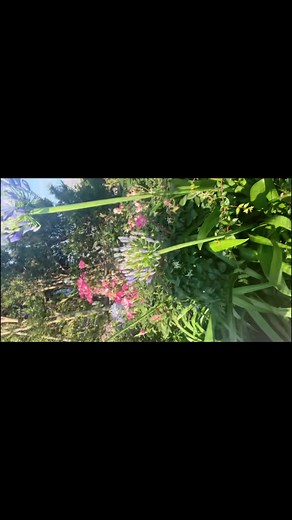 屋上！#07 #高校生 #ljk - ファミマCMとJKダンスの魅力