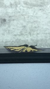 6.7K views · 162 reactions | Kids with EB (Epidermolysis Bullosa) are...