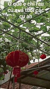 @#08 nơi chốn quê nhà