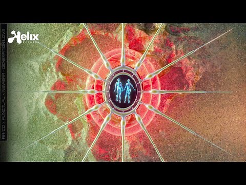 AR/CO x Punctual x NewEra - Generation Love (Visualizer) [Helix Records]