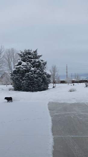 109 reactions · 22 comments | Shoveling snow isn’t just a chore—it’s...