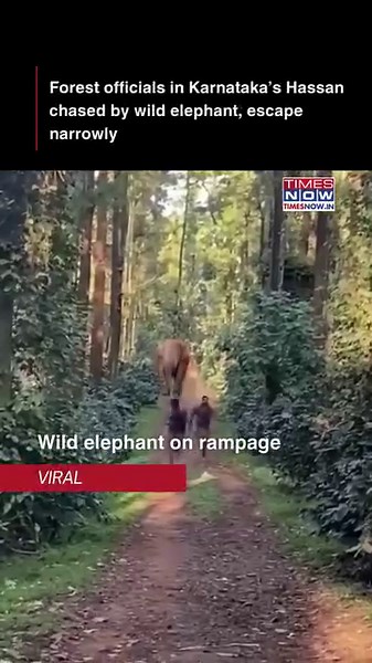 In a recent incident in Karnataka's Hassan district, forest department workers faced a harrowing experience when a wild elephant charged at them. The workers were conducting routine monitoring when the elephant suddenly became aggressive, prompting them to flee for their lives. Fortunately, they managed to escape without injury. #Hassan #elephantattack | TIMES NOW