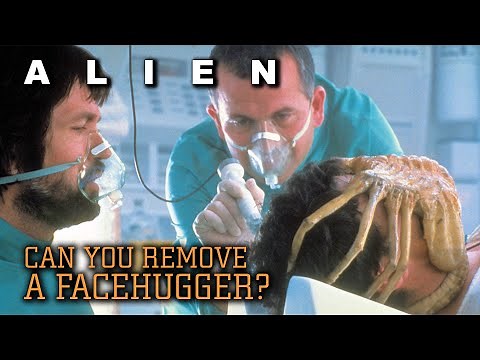 Is it Possible to Remove a Facehugger Before Implantation - Alien Biology Explained