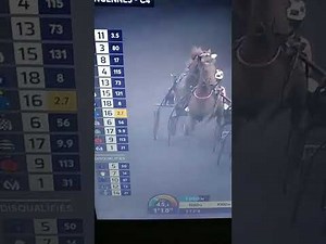 🎥 Arrivée Quinté + Pronostics PMU du Jour 🏇📢