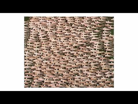 TEDxSanMigueldeAllende - Spencer Tunick - Body Moving Change