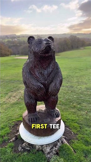 Course 22/50 in the Scratch 50 Challenge