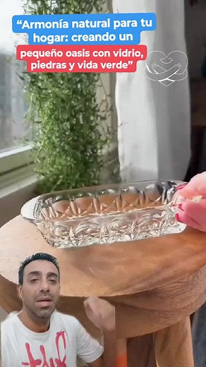 79K views · 635 reactions | Jardín acuático minimalista Ecosistema en vidrio. Fuente de vida y serenidad. Centro de mesa natural. Mini oasis en casa. Decoración zen con agua. Rincón verde con energía fluida. Naturaleza en equilibrio. Santuario de agua y piedras. #reelsfbシ #viralvideo #satisfying #viralvideoreelsfb #ideas #robot #robots #diseño #fbreelsfypシ゚viralシ #hechoencasafácilda | Hecho En Casa Fácil D.A. | Facebook