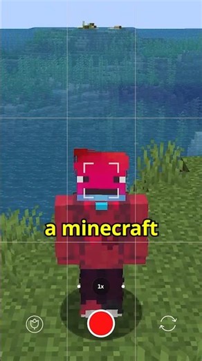 AGE VERIFICATION IN MINECRAFT