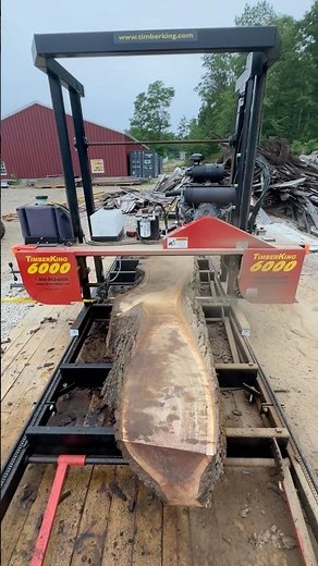 Slicing a Walnut log with our Timberking 6000 Slab Mill
