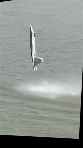 Pakistan's White Parrot Kamran Machine