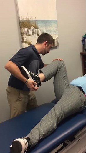 Hip Scour Test
