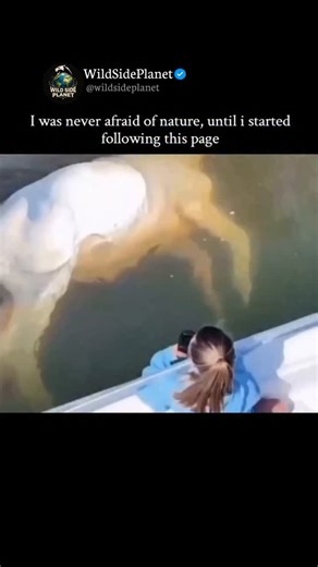 WildSidePlanet on Instagram: "Did you noticed something?👇 In the early 1960s, NASA wasn’t just looking up — they were looking down. Deep into the darkest parts of the ocean. 🌊 During the height of the Cold War, scientists believed the deep sea might hold answers critical to space travel. Extreme pressure, total darkness, isolation, and hostile conditions made Earth’s oceans the closest analog to outer space. NASA quietly collaborated with the U.S. Navy, marine biologists, and submersible progr