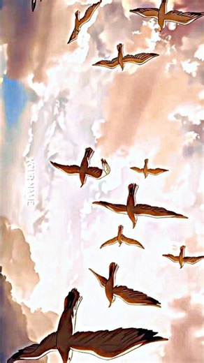 anime stack on titen#song#viral#song name suzume