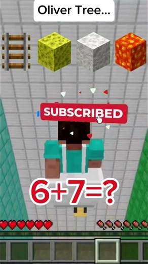 Test Blocks #minecraft