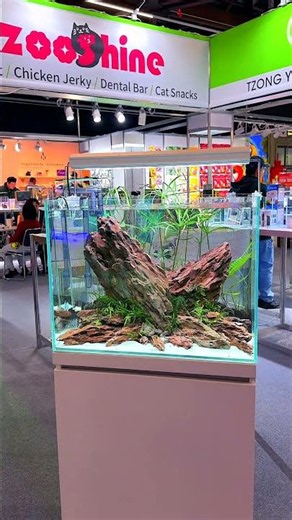 Aquascaping-Kunst vom Feinsten✨Dieses Schaubecken ist voller Leidenschaft und Kreativität🌿🪨#aquarium
