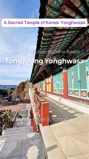Enlightenment and the Future Buddha | Yonghwasa Temple by the Sea in Korea #Buddhism #travel #shorts