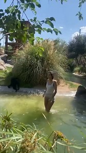 Woman seen in viral video entering spider monkey exhibit at zoo was arrested, El Paso police said. More: https://kfoxtv.com/news/instagram/woman-seen-in-el-paso-zoo-spider-monkey-exhibit-could-be-charged | KFOX-TV