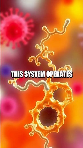 Immune System Superpowers: The Complement Cascade