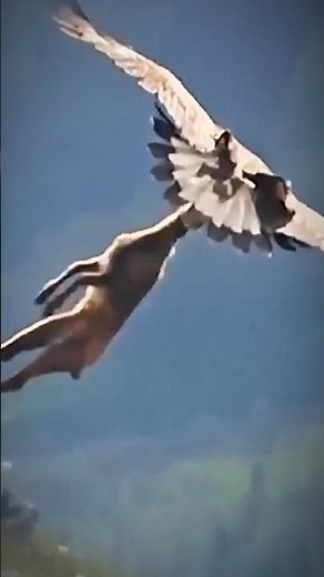 This Giant Eagle Hunted Birds Bigger Than Humans! 😳🦅