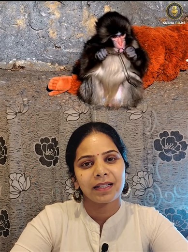 A Heartwarming Tale of Love at Ichikawa City Zoo